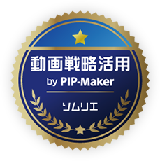 動画戦略活用
