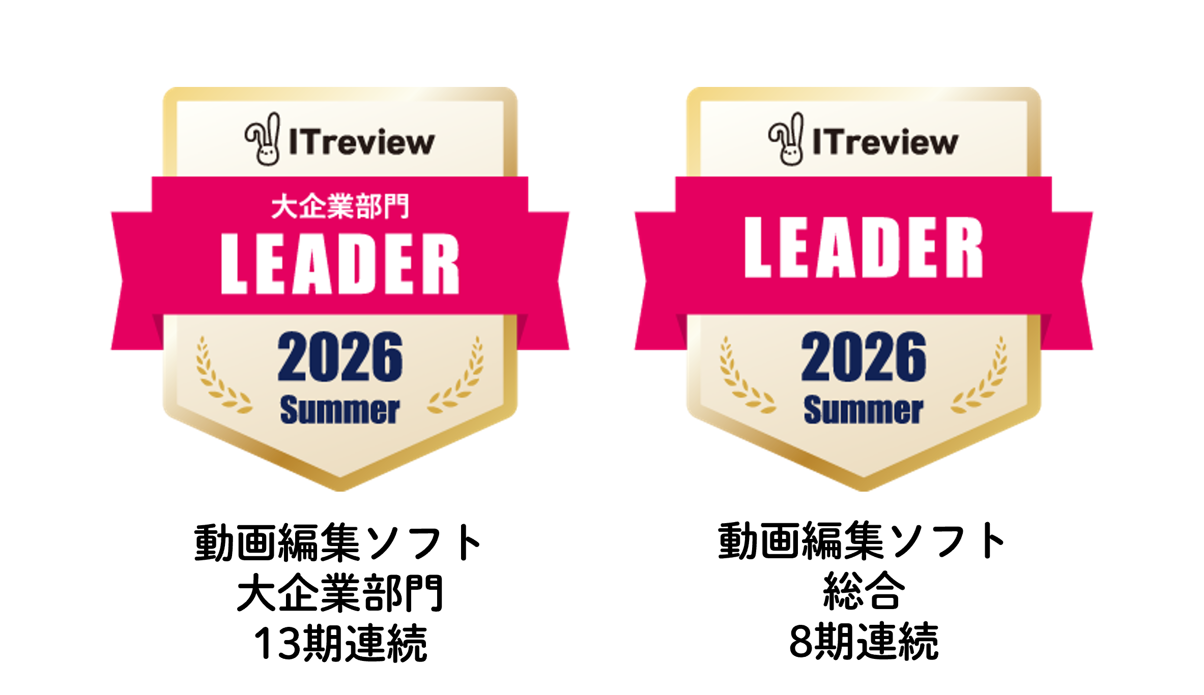 「ITreview」の「動画編集ソフト」カテゴリにおける「大企業部門」で、ユーザーからの満足度・認知度が最も高い製品に贈られる『Leader』を13期連続で受賞いたしました。また、「動画編集ソフト」カテゴリの総合部門においても、8期連続で『Leader』を受賞いたしました。